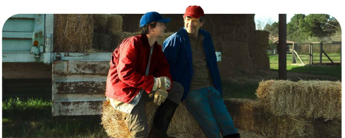 Momentos claves de la fiscalidad de la empresa familiar agraria