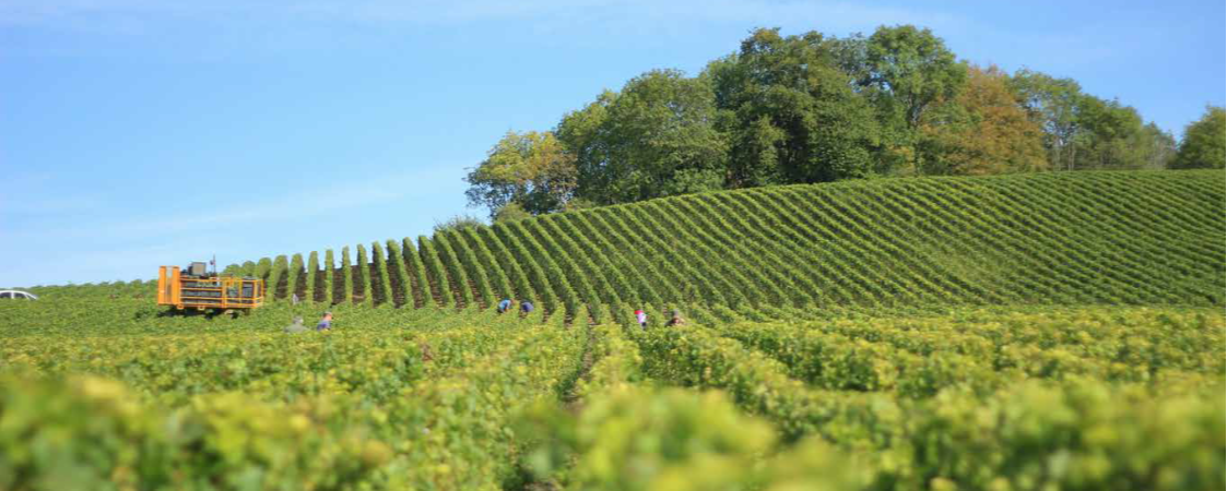 Inversión inteligente en regadío de alto rendimiento