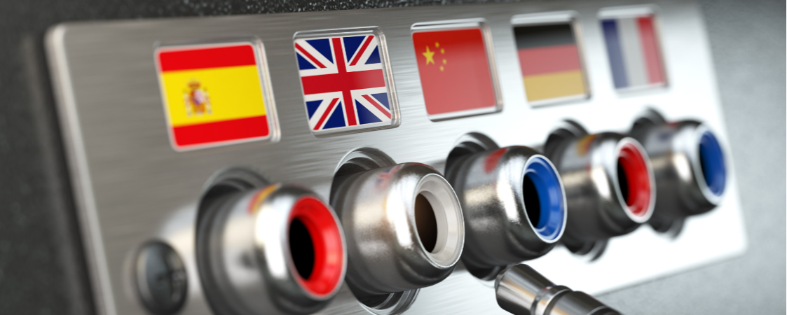 El poder de una lengua común. Empresas con una cultura lingüística para liderar el mercado